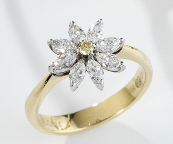 The Winbolt Daisy