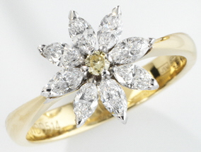 The Winbolt Daisy